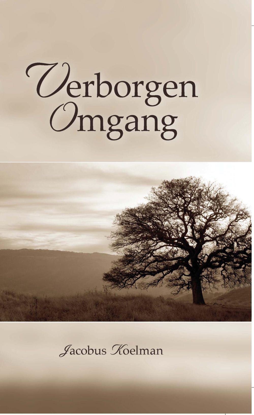 Verborgen omgang; E-Book